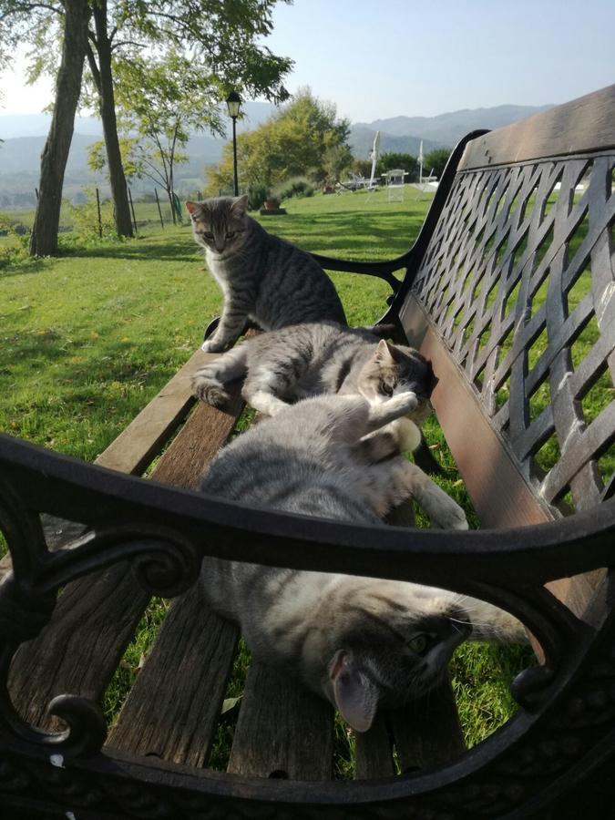 Il Vignolino Guest House Barberino di Mugello Eksteriør bilde