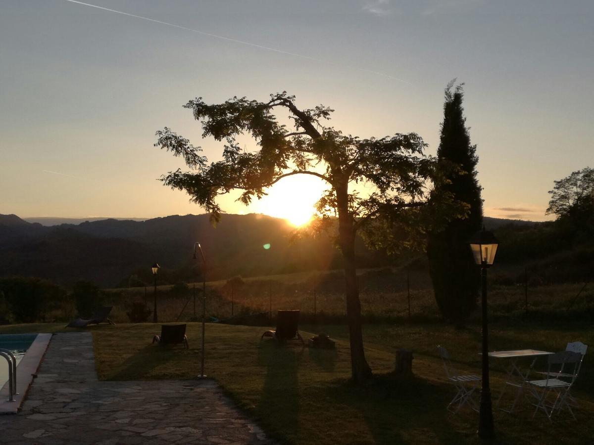 Il Vignolino Guest House Barberino di Mugello Eksteriør bilde