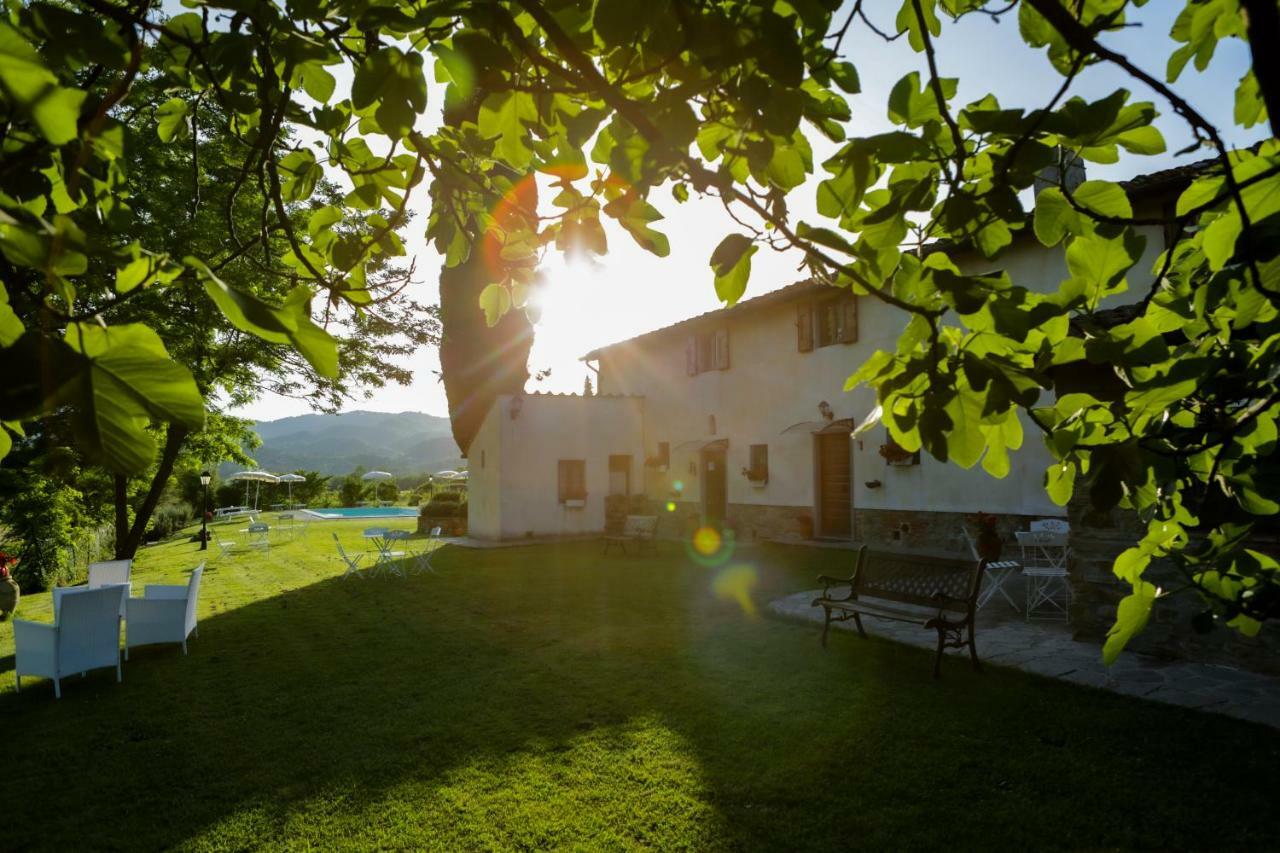 Il Vignolino Guest House Barberino di Mugello Eksteriør bilde