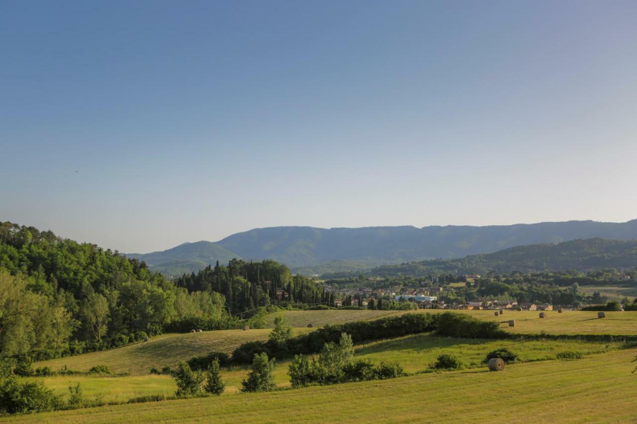 Il Vignolino Guest House Barberino di Mugello Eksteriør bilde