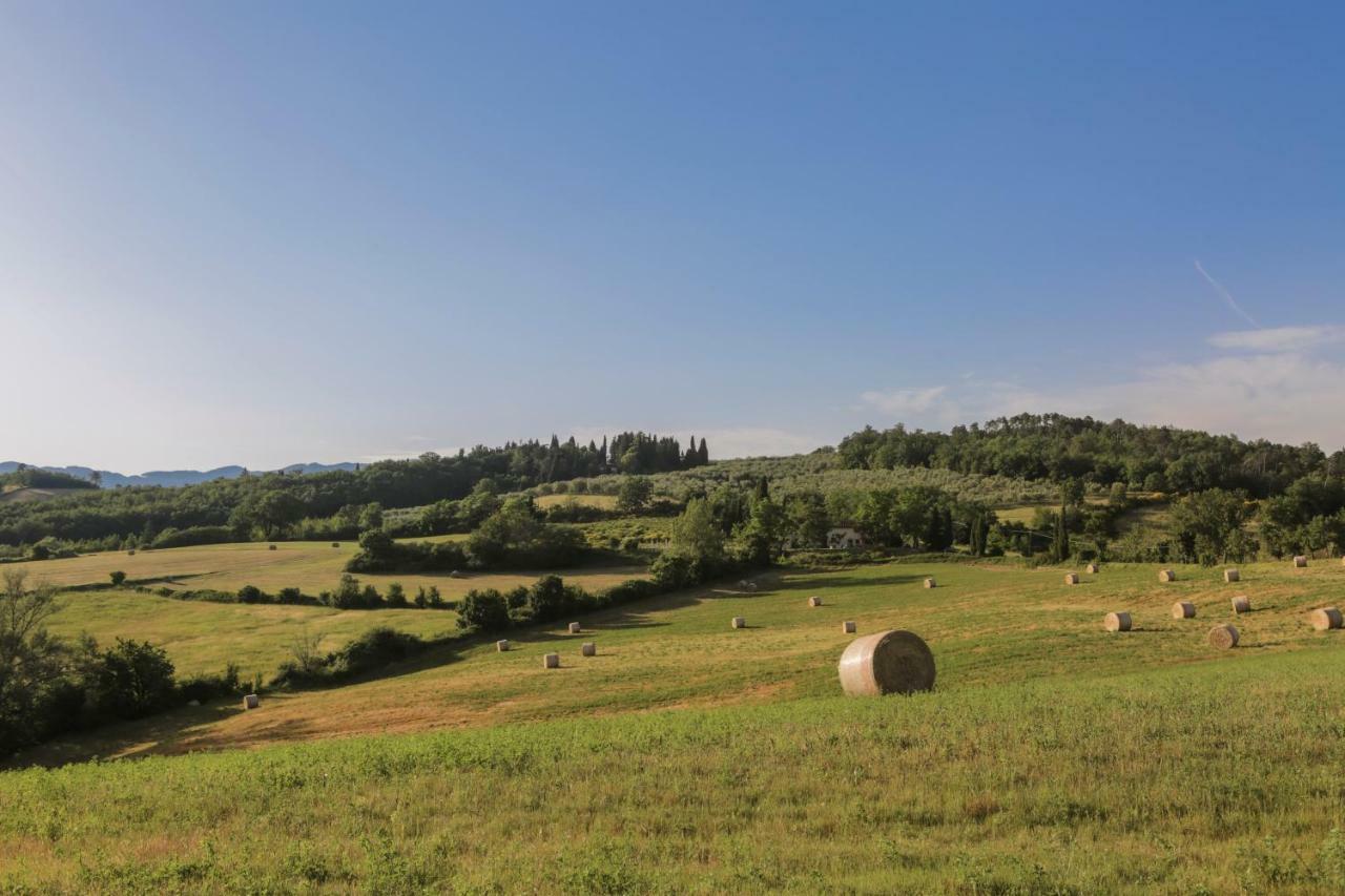 Il Vignolino Guest House Barberino di Mugello Eksteriør bilde