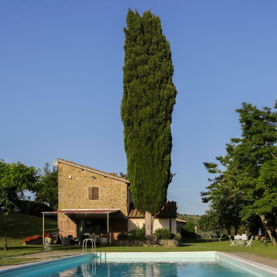 Il Vignolino Guest House Barberino di Mugello Eksteriør bilde